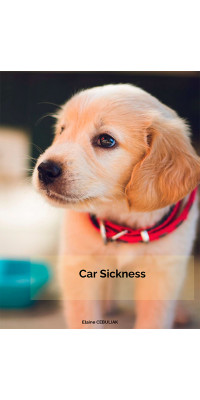 Car Sickness